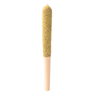 Tenzo - Pineapple ZKTLZ Double Hash Infused Pre-Roll - 1x0.5g