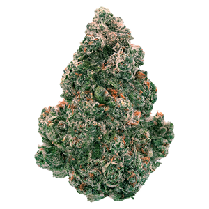 Back Forty - Liquid Imagination - 7g