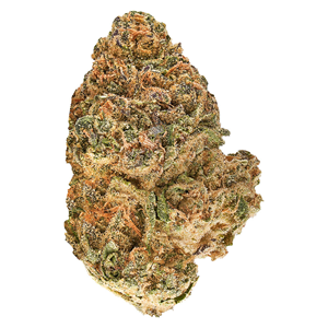 Redecan - Animal Rntz - 14g