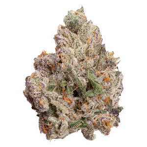 FOUR54 - Cherry Bang Bang - 3.5g