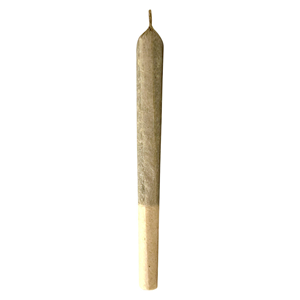 MTL Cannabis - Jungl' Cake Pre-Roll - 7x0.5g