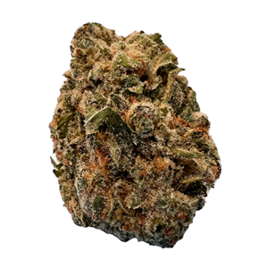 Versus - BC Purple Kush - 28g