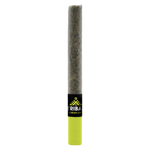 Tribal - Cuban Linx Ceramic Tip Pre-Roll - 1x1g