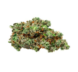 BOLD - Root Beer Float - 3.5g