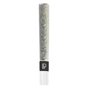 Pistol and Paris - Bubble Hash Infused Pre-Roll - 1x1g