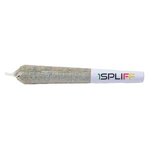 1Spliff - Grape Escape Pre-roll - 1x0.5g