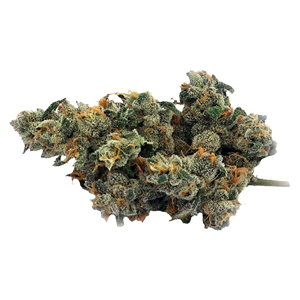 Truro - Bluenose Berry - 7g