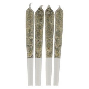 Dime Bag - Tropical Pocket Puffs Pre-Roll - 4x0.5g