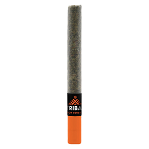 Tribal - Neon Sunshine Ceramic Tip Pre-Roll - Hybrid - 1x1g