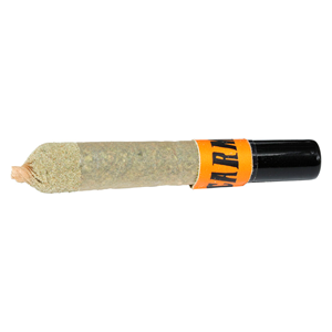 Carmel - Blue Nerd-z Ceramic Tip Infused Pre-Roll - 1x1g