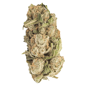 Contraband - Sherblato - Indica - 7g