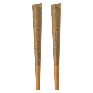 BOLD - GLAZED Sativa Pre-Roll - 2x1g