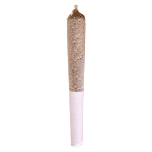 Station House - Jack Herer Pre-Roll - 1x0.5g